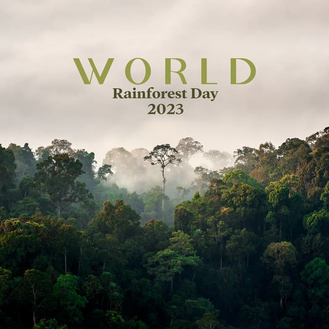 World Rainforest Day 2023: Soothe Your Mind and Body with Rainforest Sound and Instrumental Melody - Healing Rain Sound Academy