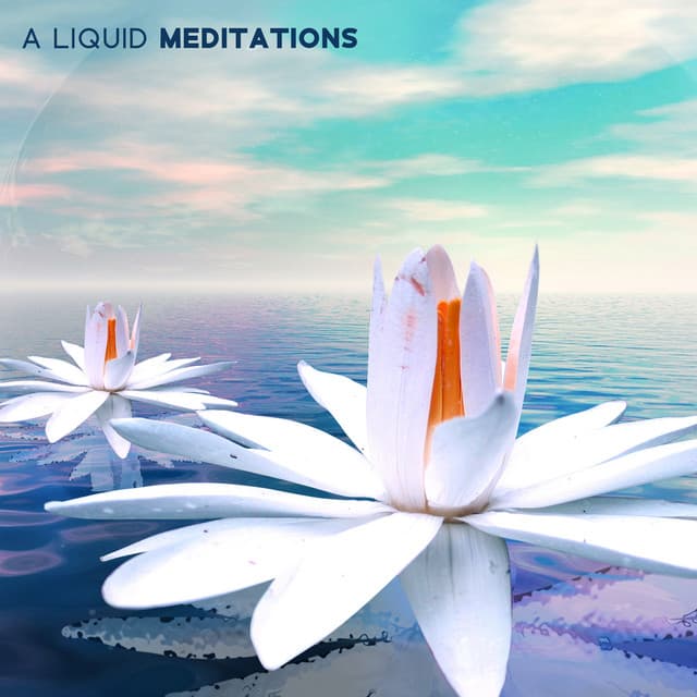 Liquid Relaxation Oasis