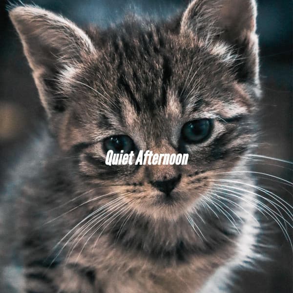 Quiet Afternoon - Chillout Jazz Deluxe