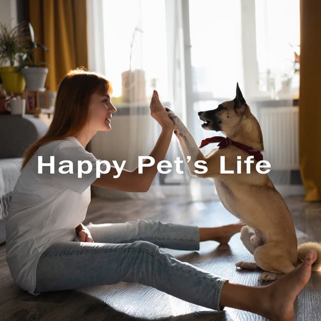 Happy Pet’s Life – Mellow Melodies for Deep Relaxation Pets, Quiet Sleep Pets, Therapy Sounds - Pets Music