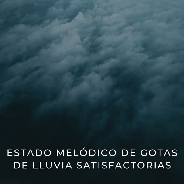 Estado Melódico De Gotas De Lluvia Satisfactorias - Don Lluvia