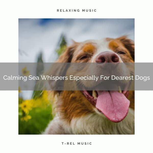Calming Sea Whispers Especially For Dearest Dogs - Dog Relax