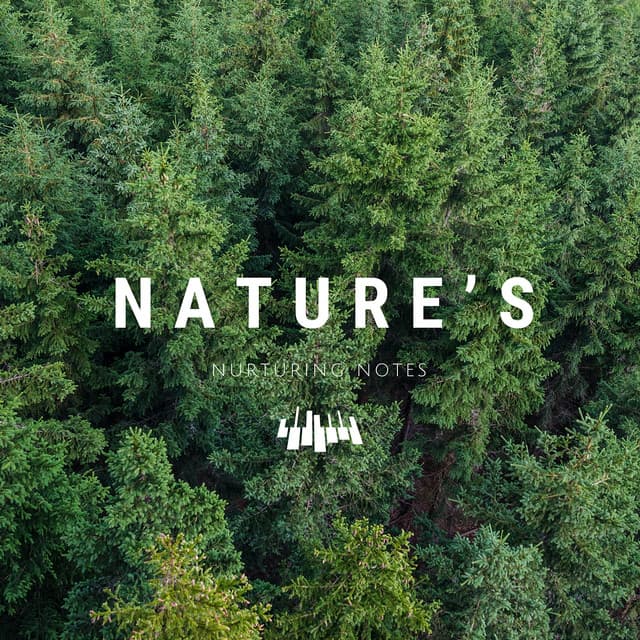 Nature’s Nurturing Notes - Piano Music Spa
