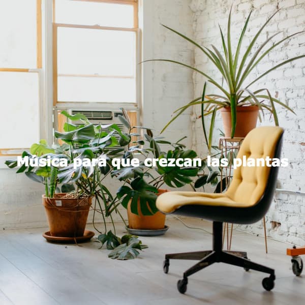 Ristorante Jazz Ambiente