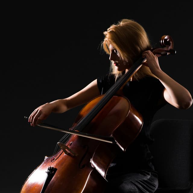 Cats' Tranquil Orchestra: Evening Melodies - Valborg Shamsuddin