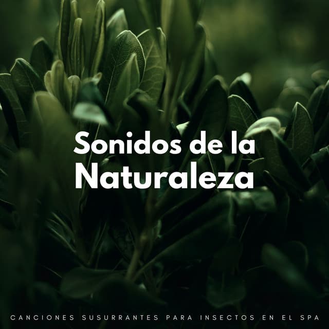 Sonidos De La Naturaleza: Canciones Susurrantes Para Insectos En El Spa - La naturaleza llama