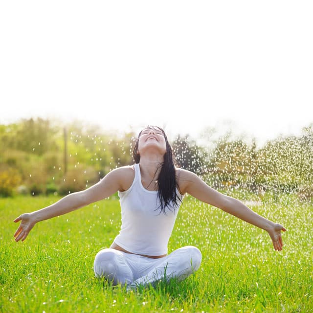 Liquid Reflections: Contemplative Moments with Rain - Waterfall White Noise