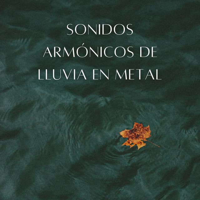 Sonidos Armónicos De Lluvia En Metal - Ejemplo de biblioteca de lluvia