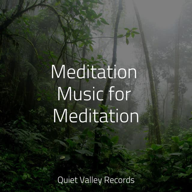 Meditation Music for Meditation - Baby Sleep