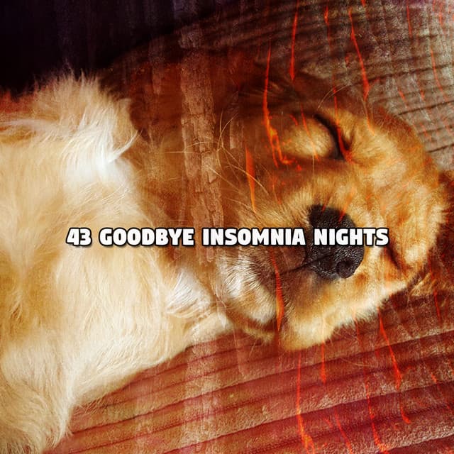 43 Goodbye Insomnia Nights - Baby Music
