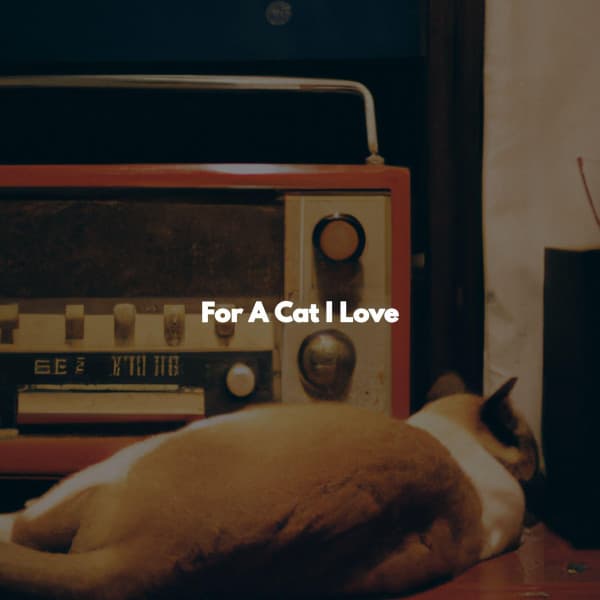 For A Cat I Love - Background Jazz for Studying
