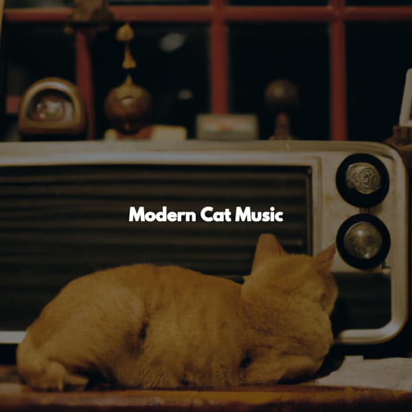Modern Cat Music - Happy Coffee Shop Music
