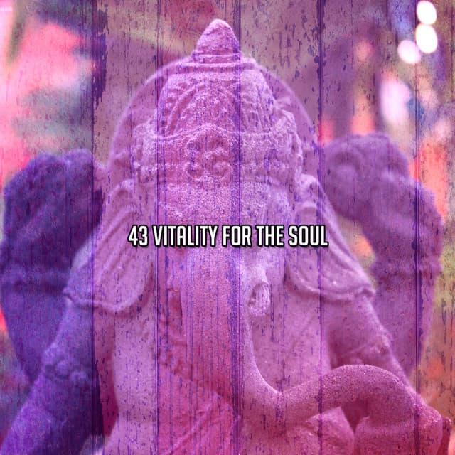 43 Vitality For The Soul - Serenity Spa Music Relaxation