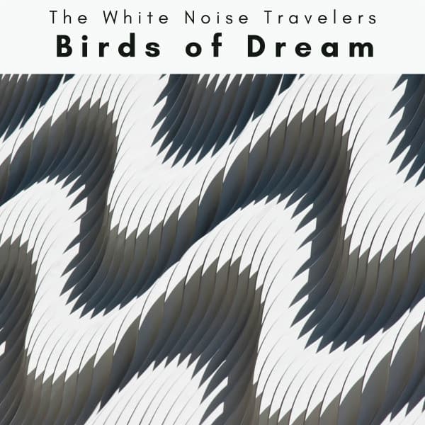 2022 Birds of Dream - The White Noise Travelers