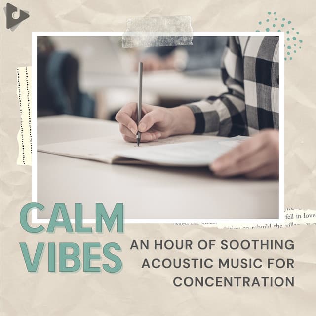 An Hour of Soothing Acoustic Music for Concentration - Calm Vibes