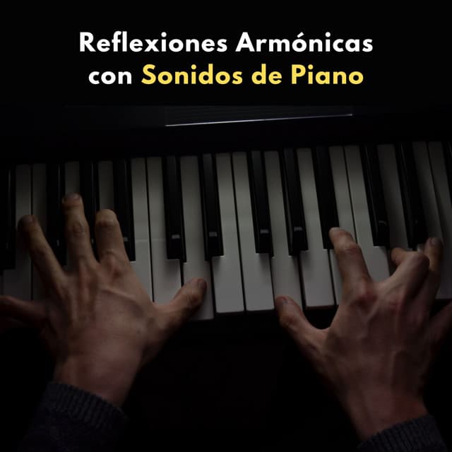 Reflexiones Armónicas Con Sonidos De Piano - Pianos pacíficos