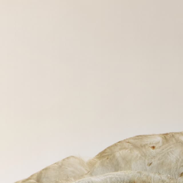 365 Complete Works 7 - Aidan O'Rourke