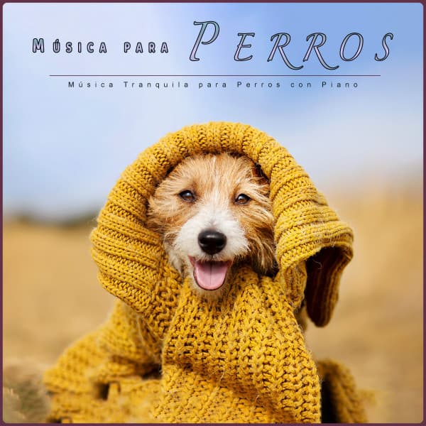 Música para Perros: Música Tranquila para Perros con Piano - Música Para Perros