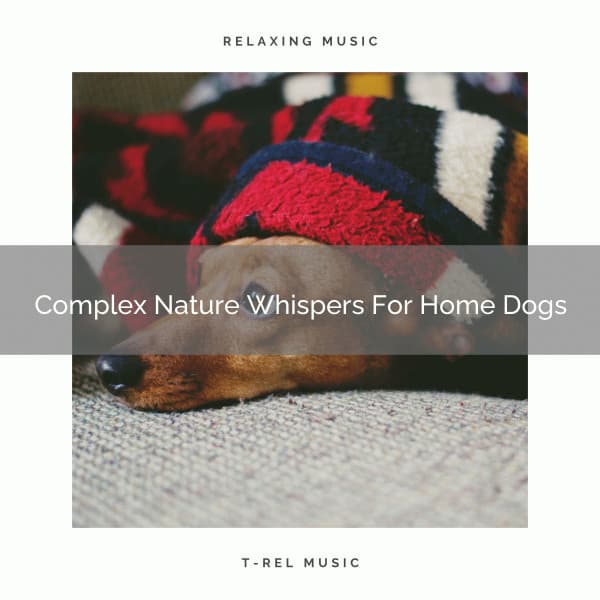 Complex Nature Whispers For Home Dogs - Pets Relax