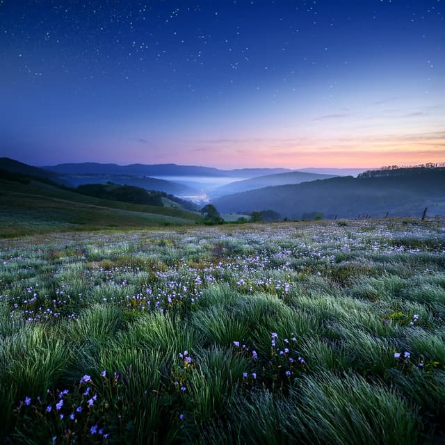 Orchestra Of The Eternal Night: Mystical Symphonies For Quiet Reflection - Eloy Perez