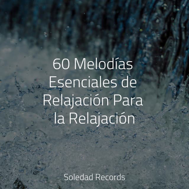 60 Melodías Esenciales de Relajación Para la Relajación - Música Para Meditar y Relajarse