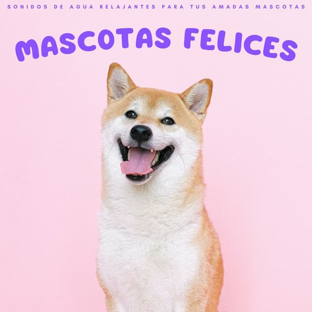 Mascotas Felices: Sonidos De Agua Relajantes Para Tus Amadas Mascotas - Música relajante para mascotas