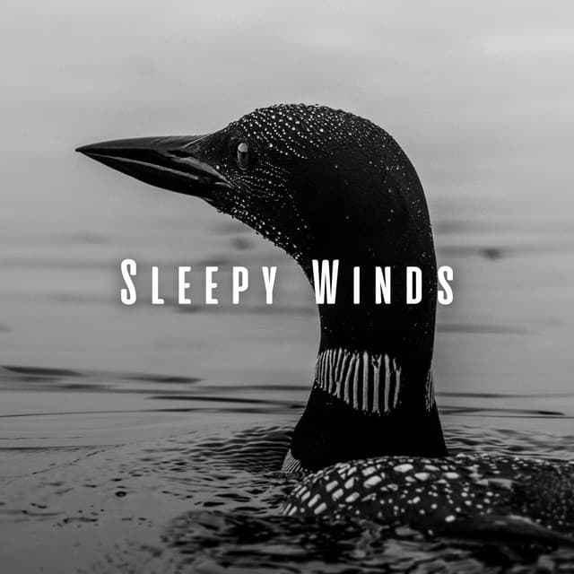 Sleepy Winds: Heavy Rain and Loon Harmonies - Sleep Alpha Waves