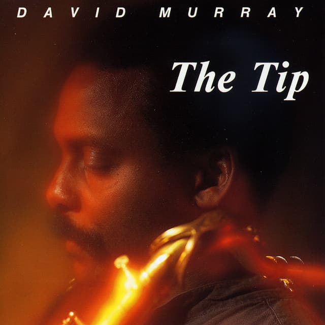 The Tip - David Murray