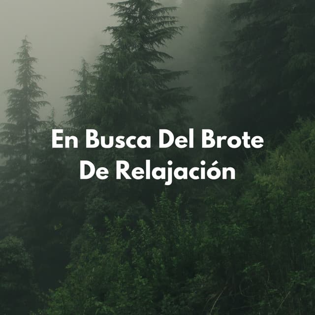 En Busca Del Brote De Relajación - Acústica de la Naturaleza