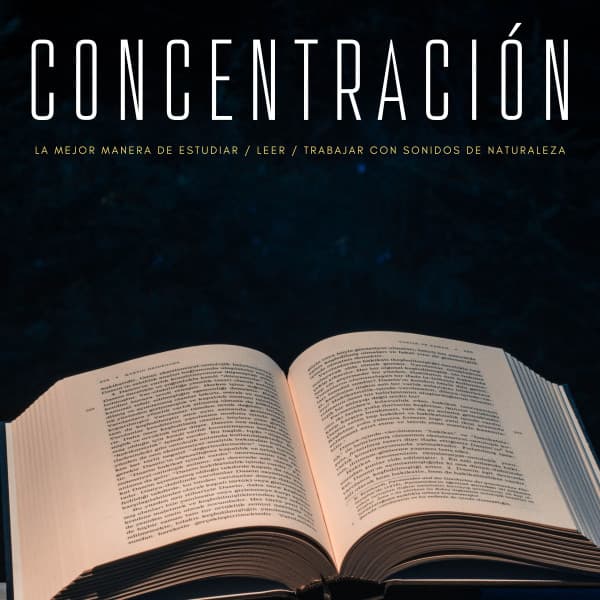 Concentración: La Mejor Manera De Estudiar / Leer / Trabajar Con Sonidos De Naturaleza - Concentracion Examenes