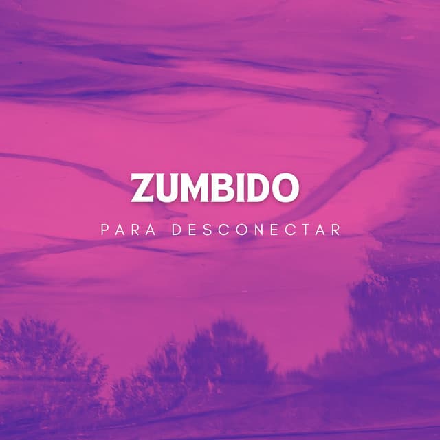 Zumbido Para Desconectar - Effectum
