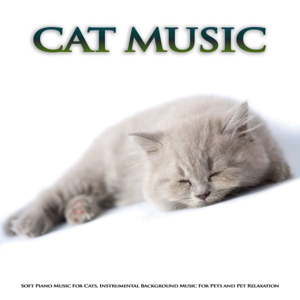 Cat Music: Soft Piano Music For Cats, Instrumental Background Music For Pets and Pet Relaxation - Cat Music