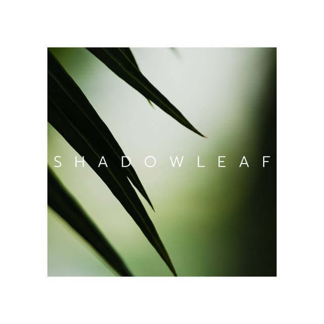 Shadowleaf: Nature’s Tranquil Rhythms - Sound of Nature Library