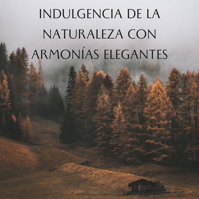 Indulgencia De La Naturaleza Con Armonías Elegantes - Ruido y Naturaleza