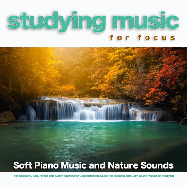 Studying Music For Focus: Soft Piano Music and Nature Sounds For Studying, Bird, Forest and Water Sounds For Concentration, Music For Reading and Calm Study Music For Studying - Music For Studying and Concentration