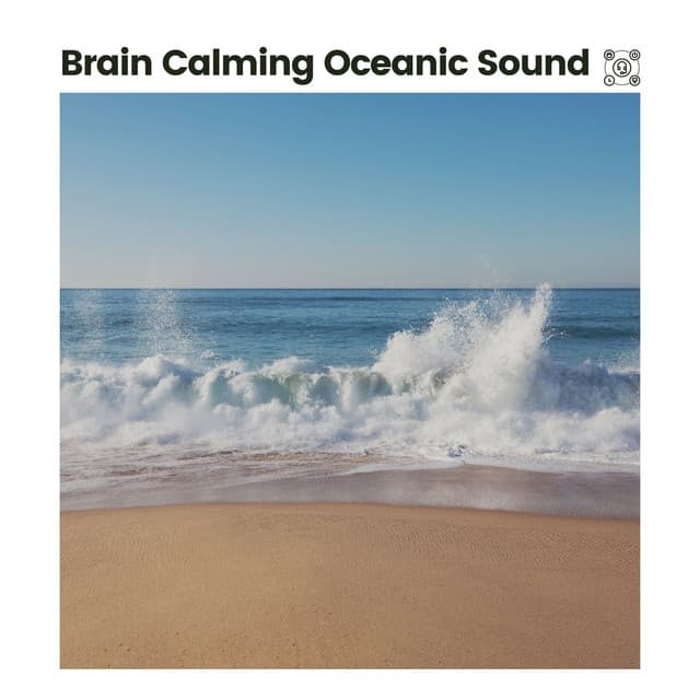 Brain Calming Oceanic Sound - Relaxing Sea Sounds