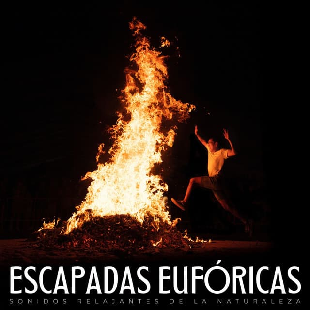 Escapadas Eufóricas: Sonidos Relajantes De La Naturaleza - Serenidad Academy