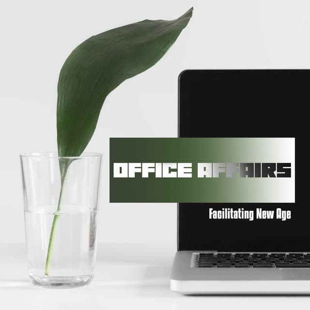 Office Affairs Facilitating New Age - Chill Out 2019