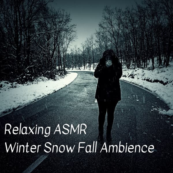 Relaxing ASMR Winter Snow Fall Ambience - Nature Field Recordings