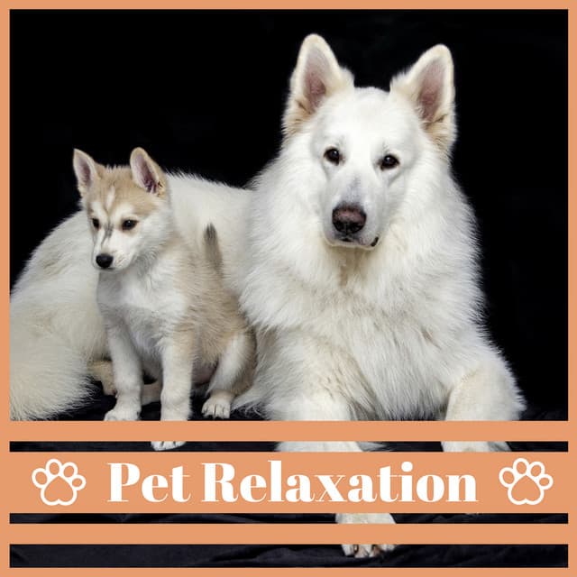 Pet Relaxation – Soothing Background Music for Dogs to Calm Down, Deep Sleep, Anti Stress Piano and Nature Sounds - Relaxing Music For Pets