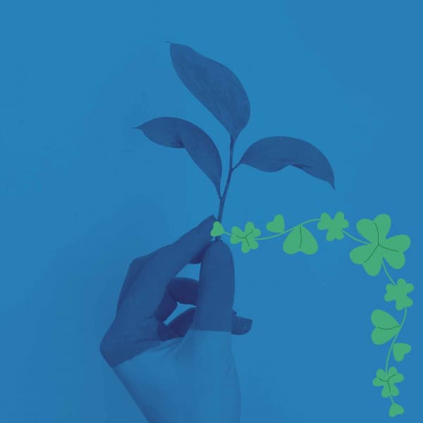 Casual Bossa Guitar Trio - Background for Peaceful Thursday - Musica da Lavoro