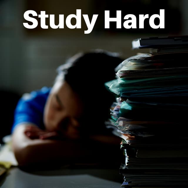Study Hard - Study With Us