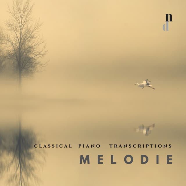 "058 Classical Piano Transcriptions": Melodie - Various Artists