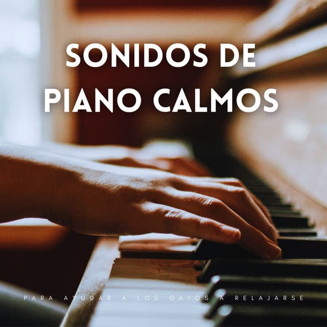 Sonidos De Piano Calmos Para Ayudar A Los Gatos A Relajarse - Pianoramix