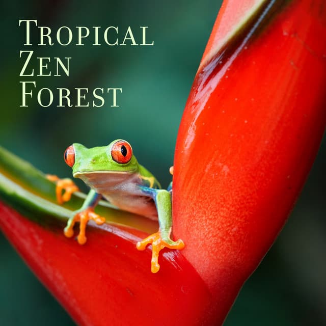 Tropical Zen Forest: Nature’s Serenity Stream, Sounds of Exotic Birds - Exotic Area Zen