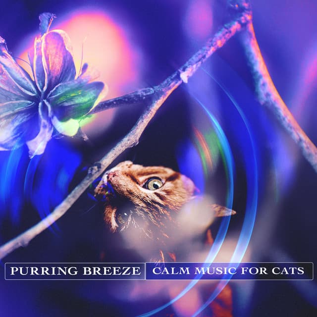 Purring Breeze - Calm Music for Cats