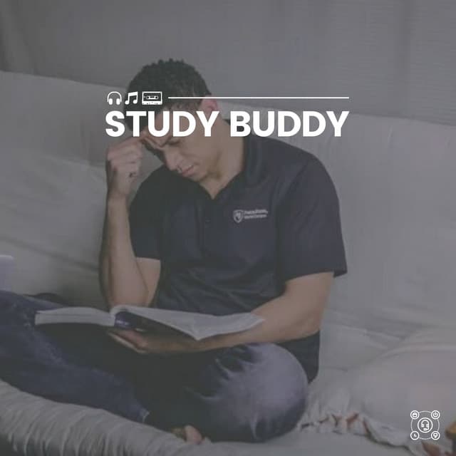 Study Buddy - Working from Home