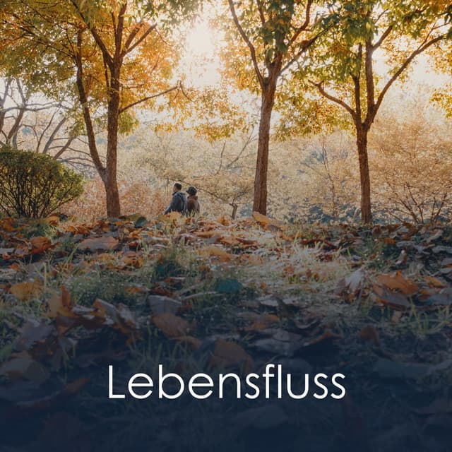 Lebensfluss - Meditation Einschlafen