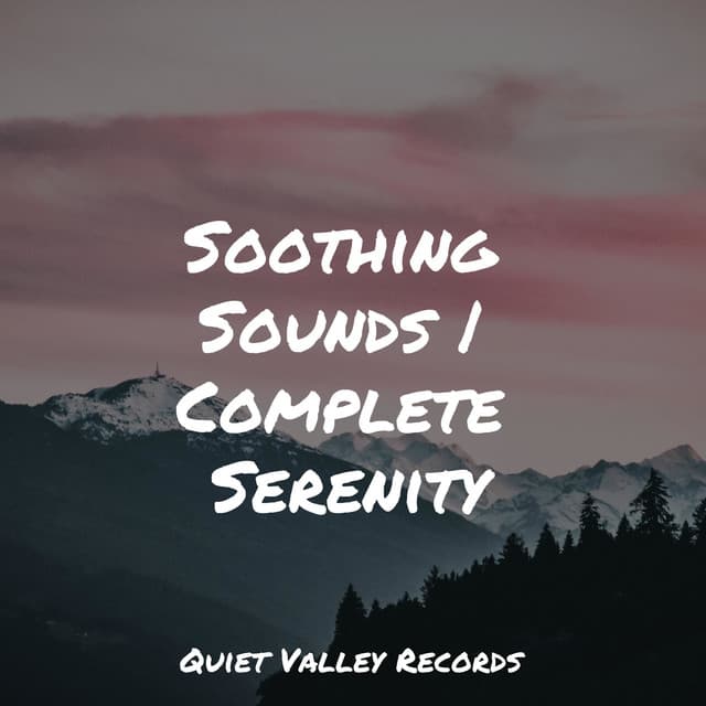 Soothing Sounds | Complete Serenity - Ambient Forest
