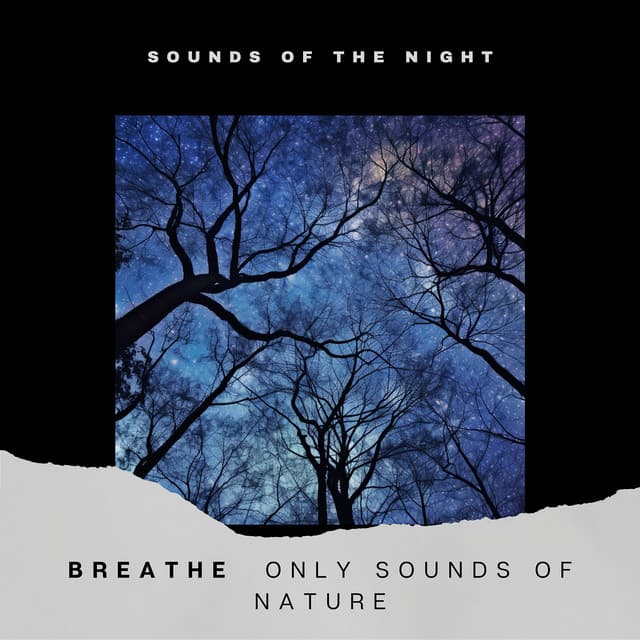 Breathe - Only Sounds of Nature - Sounds of the Night